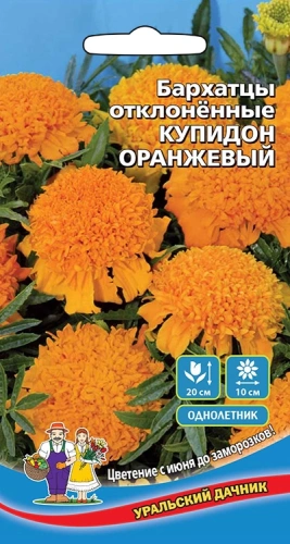 Семена Бархатцы отклоненные Купидон оранжевый 0,2гр (УД) Е/П