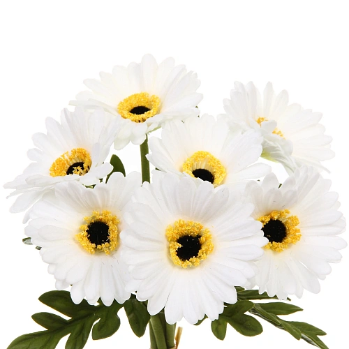 Цветы искусственные Natur 33см Герберы 7шт белые_3