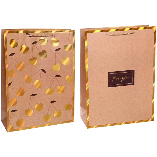 Пакет подарочный В крафтовых тонах 314212 см_3