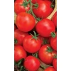 Семена Томат Ранний 83 20шт (УД) Е/П