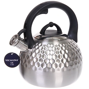 Чайник из нержавеющей стали 3л "Vicalina" VL-9255, матовый, ручка микс цветов